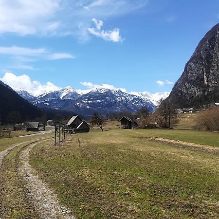 Apartments & Rooms Stare Bohinj Exteriér fotografie