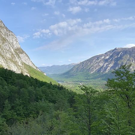 Apartments & Rooms Stare Bohinj Exteriér fotografie