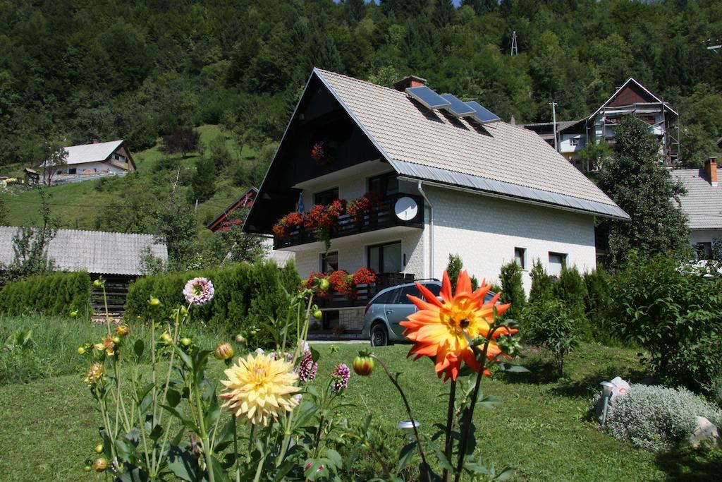 Apartments & Rooms Stare Bohinj Exteriér fotografie